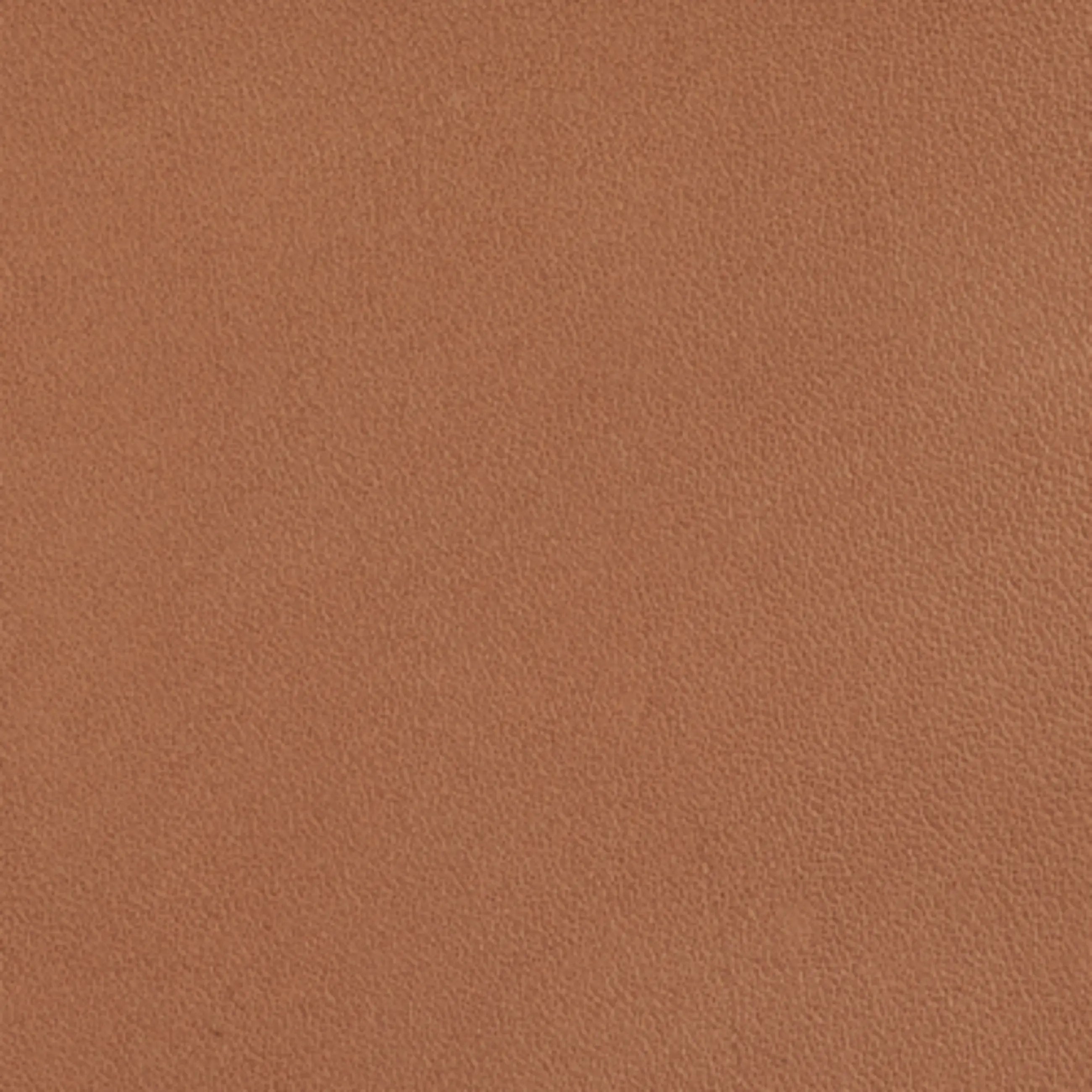 swatch_image