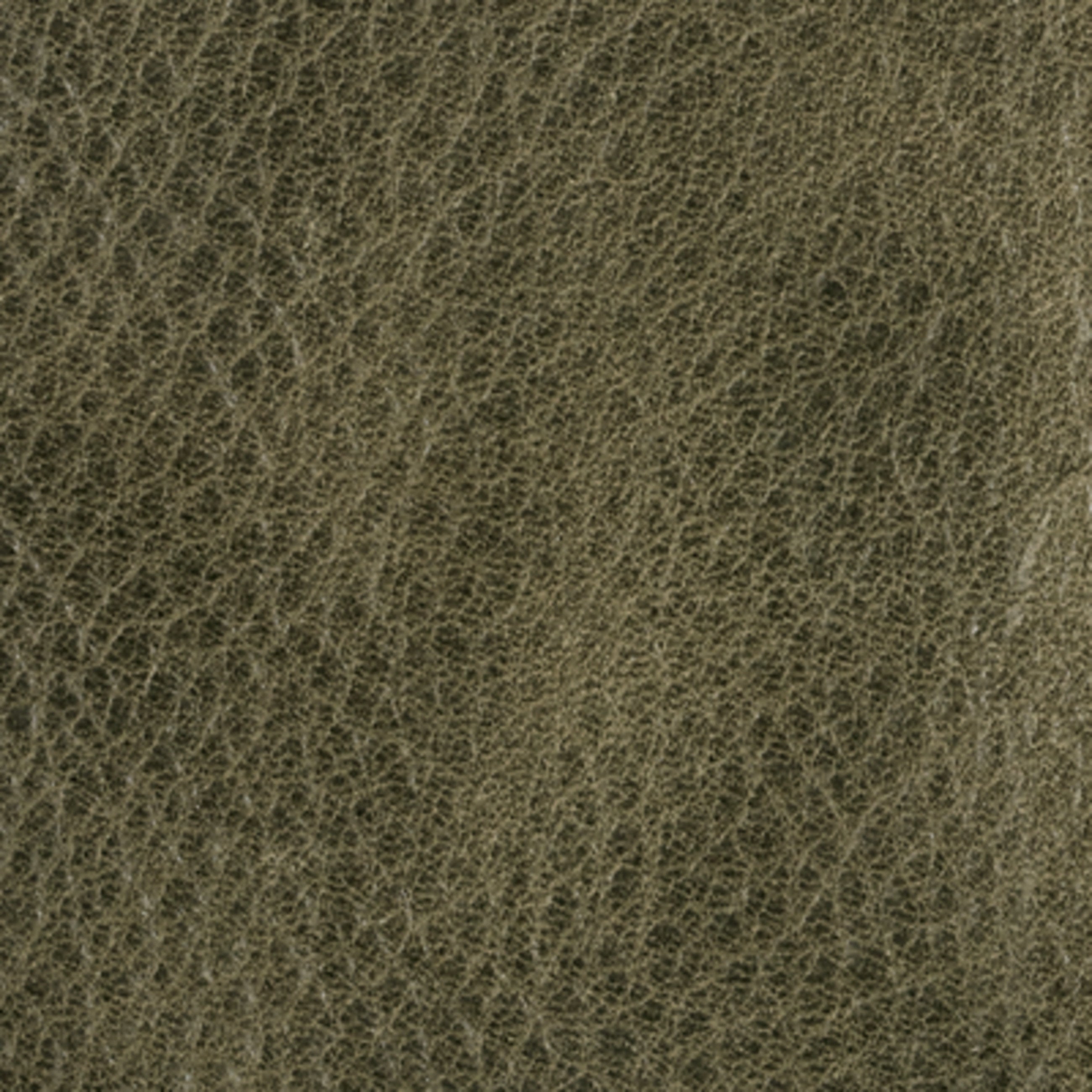 swatch_image