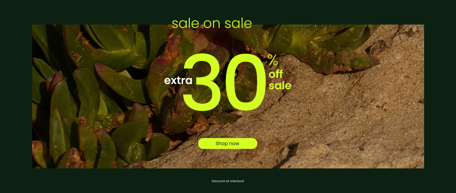 extra 30% off sale